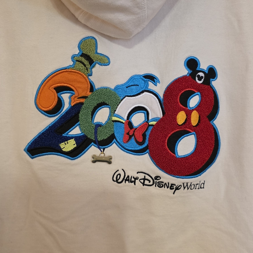 Disney ADULT Hoodie with Colorful Embroidery